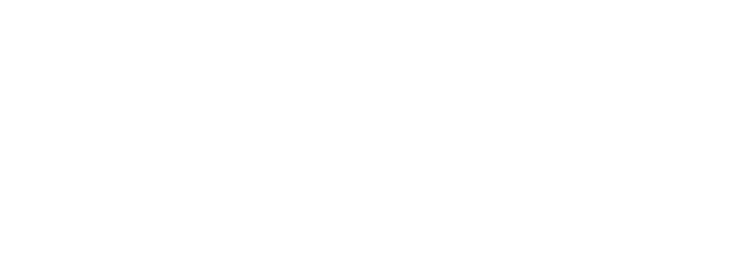 Bring Bags logo